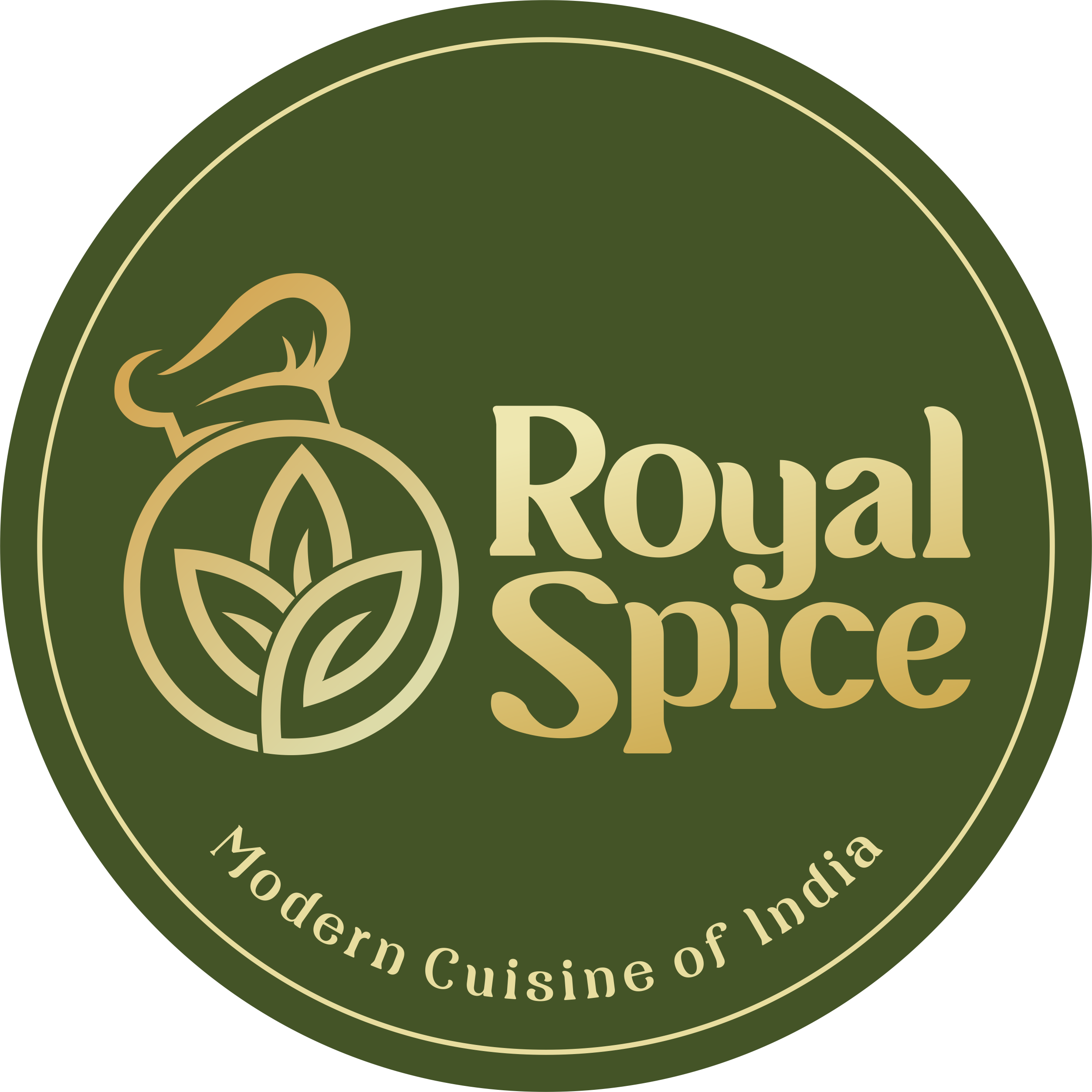 Royal Spice | Modern Indian Cuisine